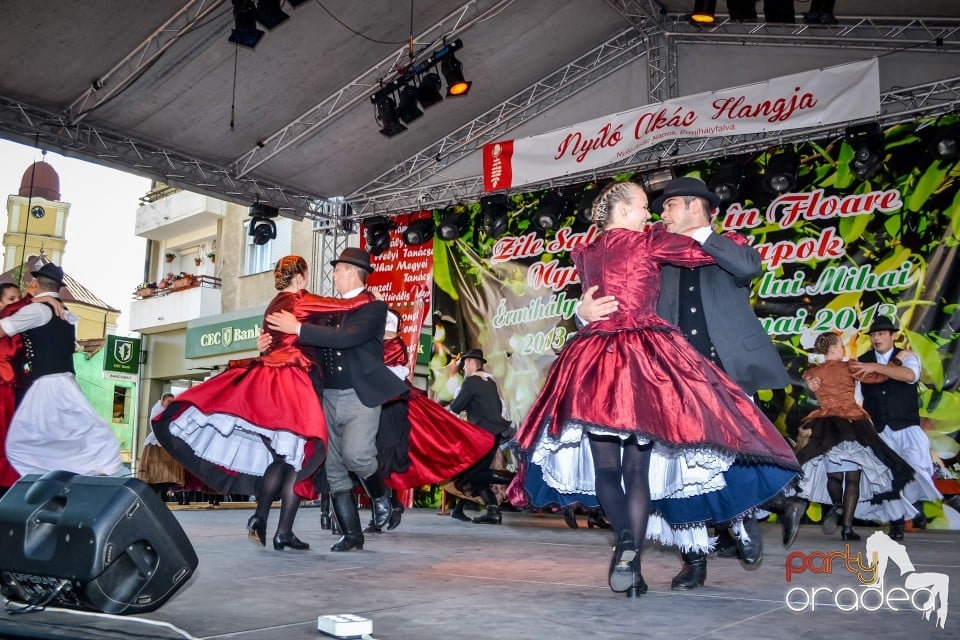 Festivalul
