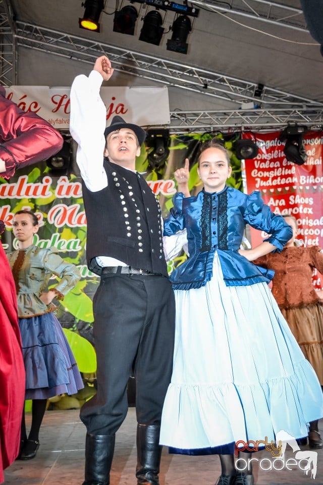 Festivalul