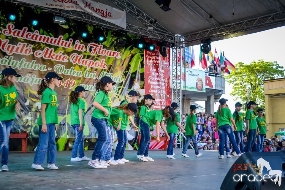Festivalul