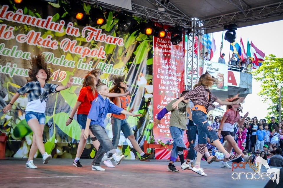Festivalul