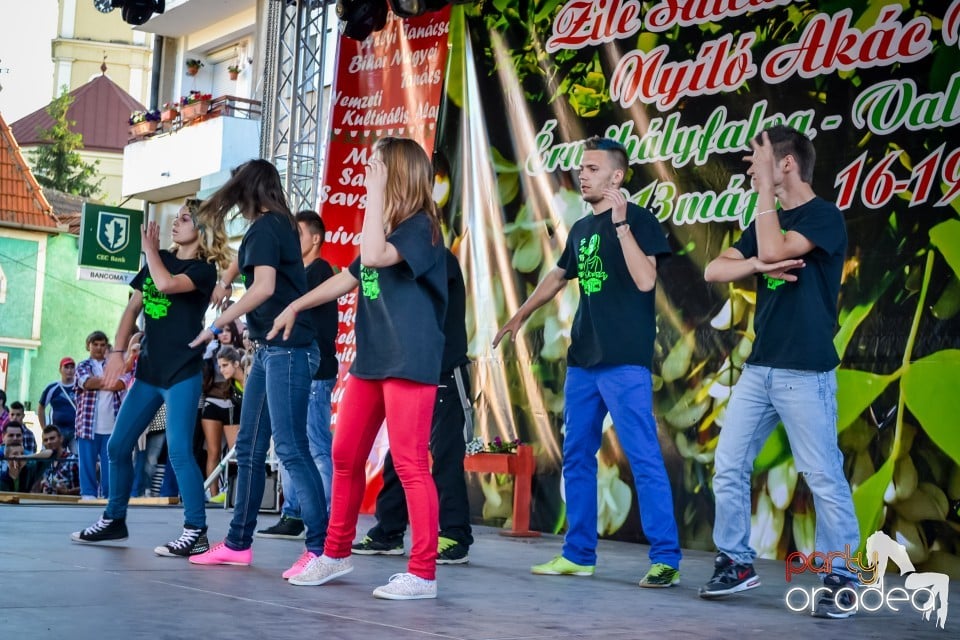 Festivalul