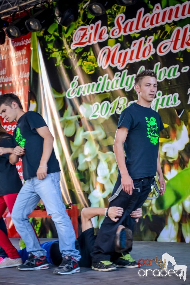 Festivalul