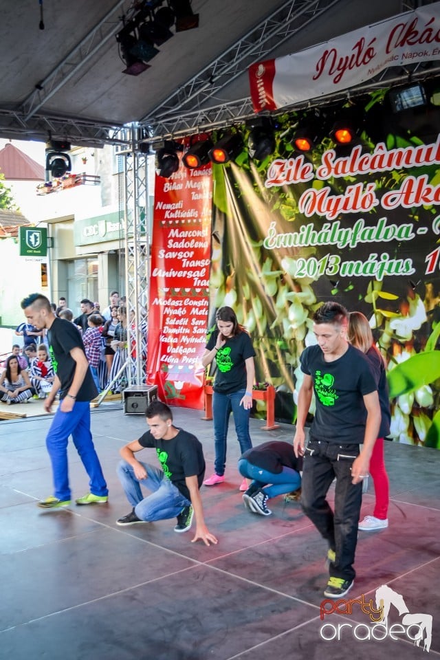 Festivalul