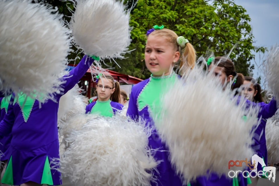 Festivalul
