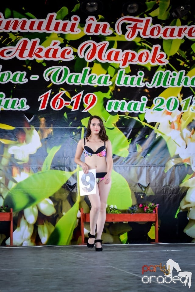 Festivalul