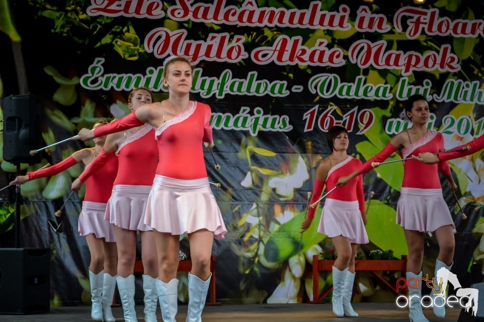 Festivalul