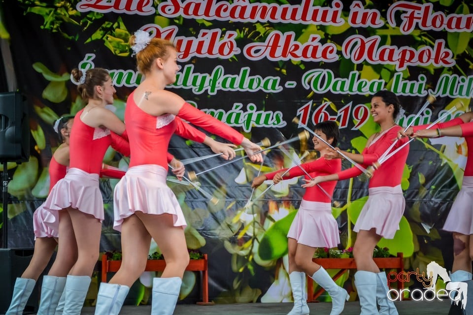 Festivalul