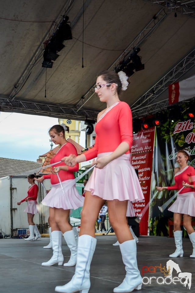 Festivalul
