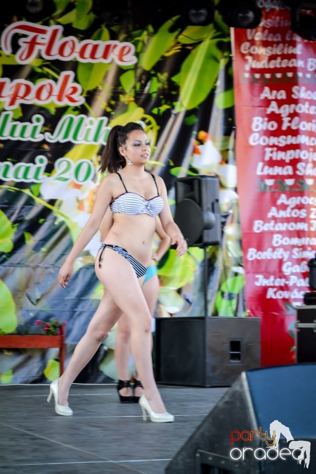 Festivalul