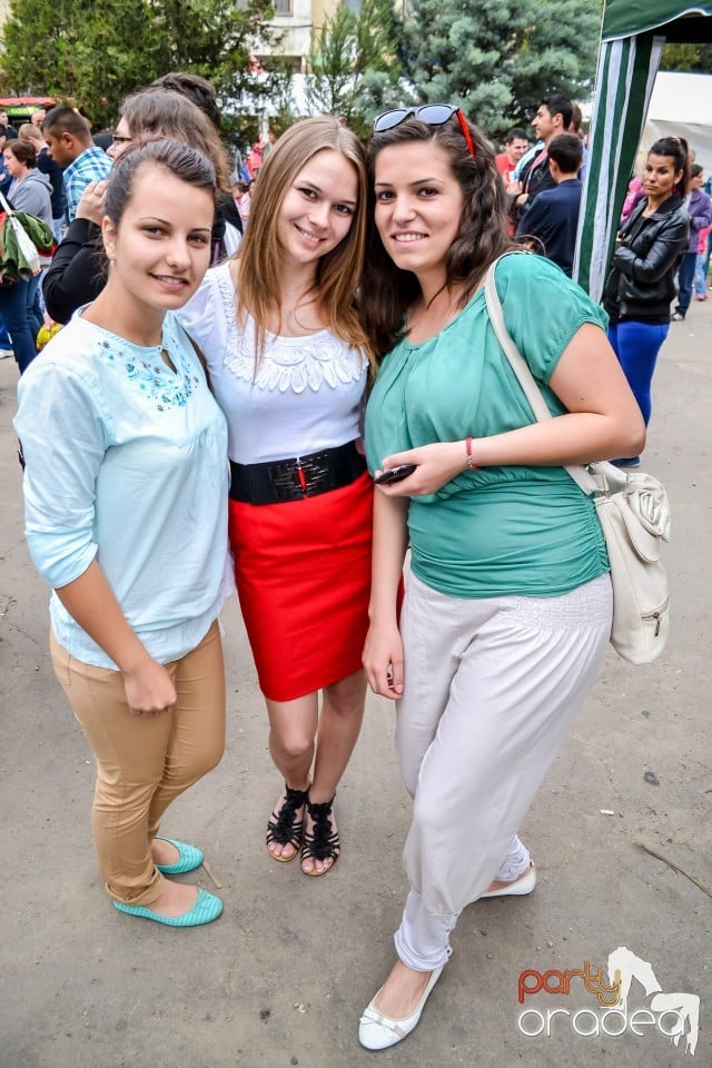 Festivalul