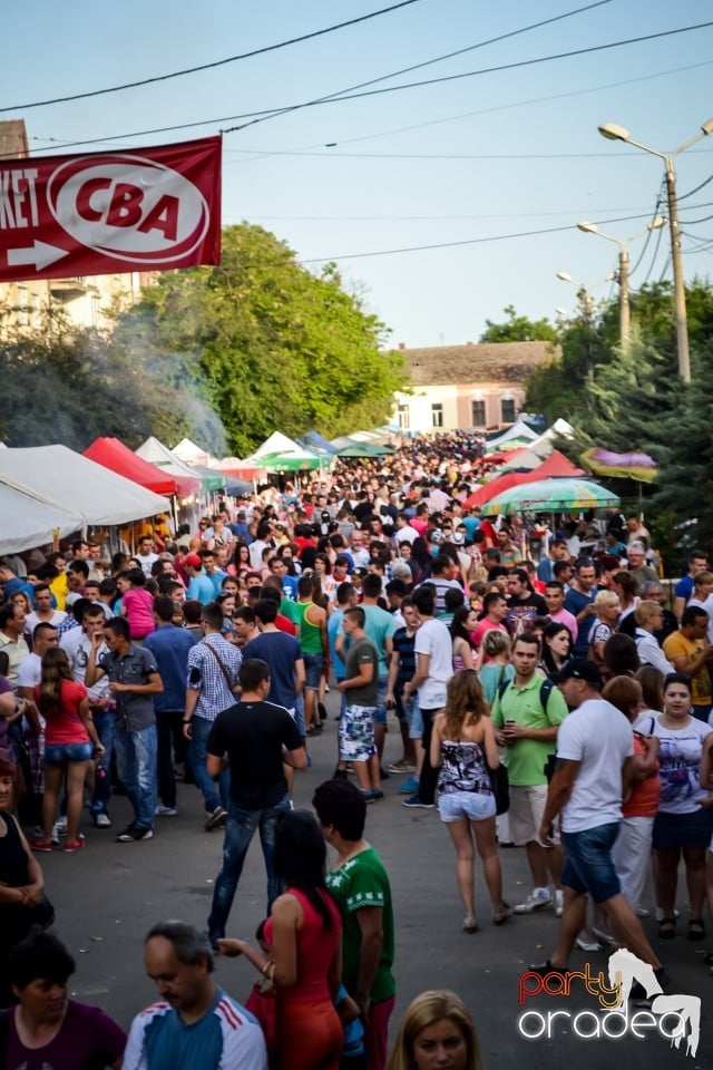 Festivalul