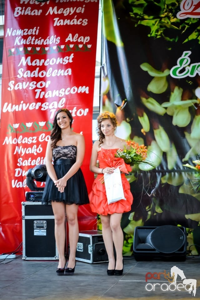 Festivalul
