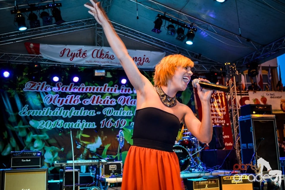 Festivalul