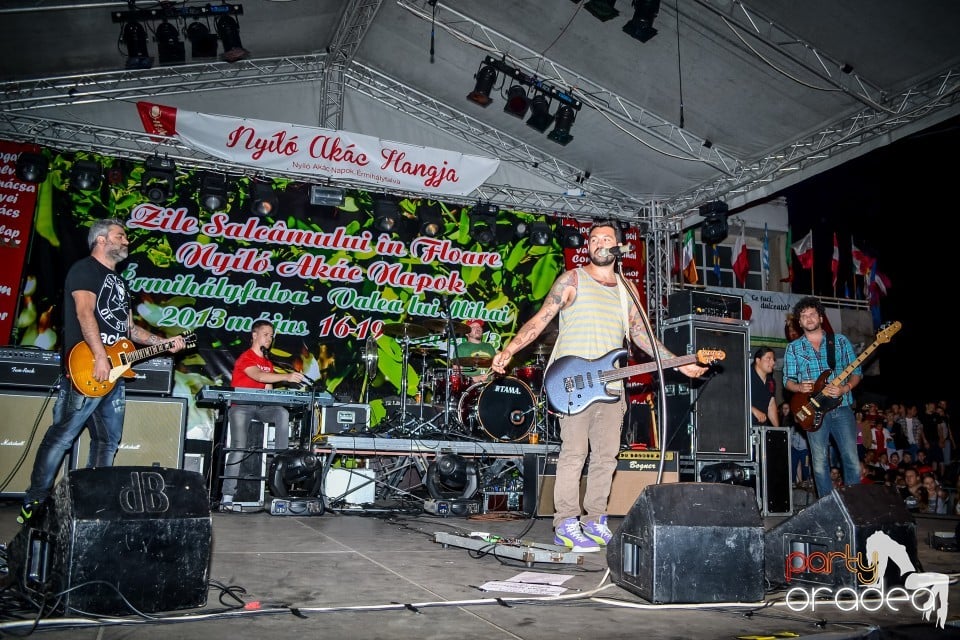 Festivalul