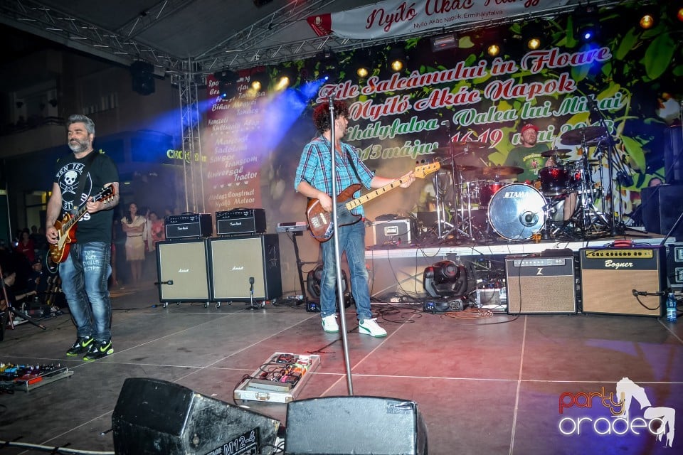 Festivalul