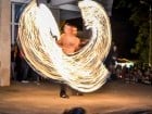 Festivalul "Zilele Salcâmului în floare"