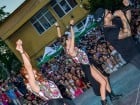 Festivalul "Zilele Salcâmului în floare"