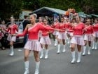 Festivalul "Zilele Salcâmului în floare"