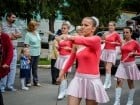 Festivalul "Zilele Salcâmului în floare"