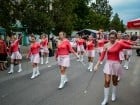 Festivalul "Zilele Salcâmului în floare"