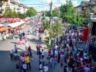 Festivalul "Zilele Salcâmului în floare"