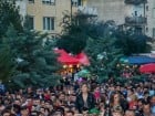 Festivalul "Zilele Salcâmului în floare"