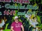 Festivalul "Zilele Salcâmului în floare"