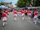 Festivalul "Zilele Salcâmului în floare"