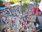 Festivalul "Zilele Salcâmului în floare"