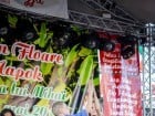 Festivalul "Zilele Salcâmului în floare"