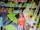 Festivalul "Zilele Salcâmului în floare"