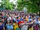 Festivalul "Zilele Salcâmului în floare"