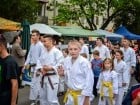 Festivalul "Zilele Salcâmului în floare"