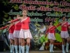 Festivalul "Zilele Salcâmului în floare"