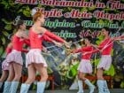 Festivalul "Zilele Salcâmului în floare"