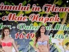 Festivalul "Zilele Salcâmului în floare"