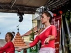 Festivalul "Zilele Salcâmului în floare"