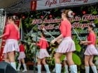 Festivalul "Zilele Salcâmului în floare"