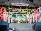 Festivalul "Zilele Salcâmului în floare"