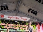 Festivalul "Zilele Salcâmului în floare"