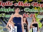 Festivalul "Zilele Salcâmului în floare"