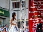 Festivalul "Zilele Salcâmului în floare"