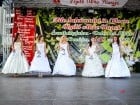 Festivalul "Zilele Salcâmului în floare"