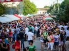 Festivalul "Zilele Salcâmului în floare"