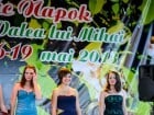 Festivalul "Zilele Salcâmului în floare"