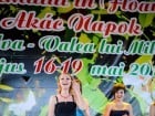 Festivalul "Zilele Salcâmului în floare"