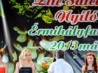 Festivalul "Zilele Salcâmului în floare"