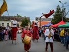 Festivalul "Zilele Salcâmului în floare"