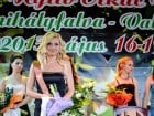 Festivalul "Zilele Salcâmului în floare"