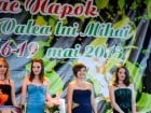 Festivalul "Zilele Salcâmului în floare"